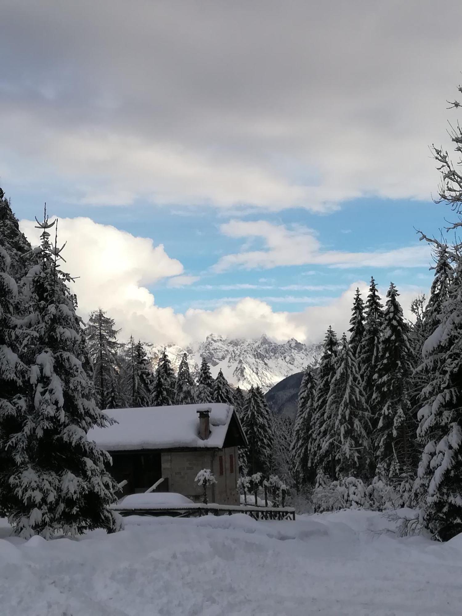 Casa Elena Apartment Pieve di Cadore Exterior photo